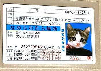 Amazon.co.jp: なめんなよカードコレクション なめ猫 免許証